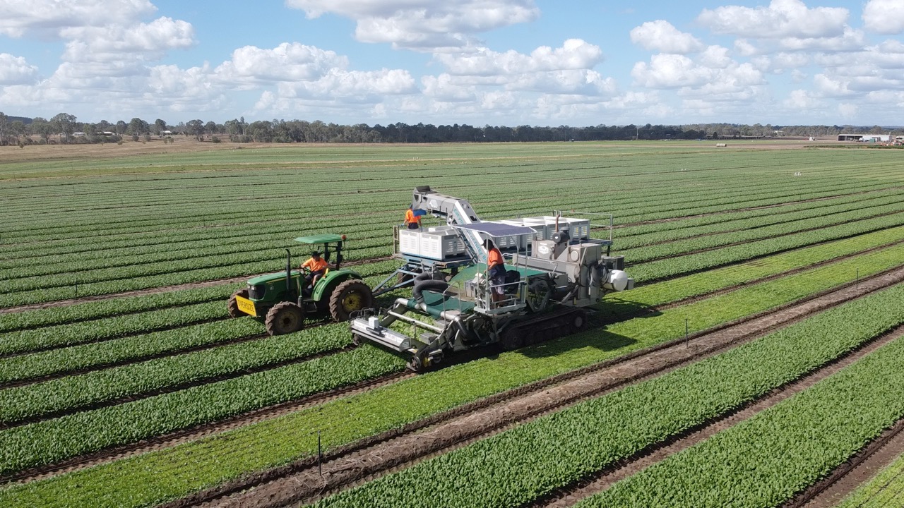 Harvesting at Drinan Farms, one of the Warakirri Diversified Agriculture Fund's assets.