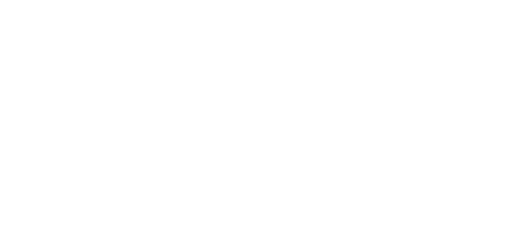 Flinders Investment Partners - Transparent Logo