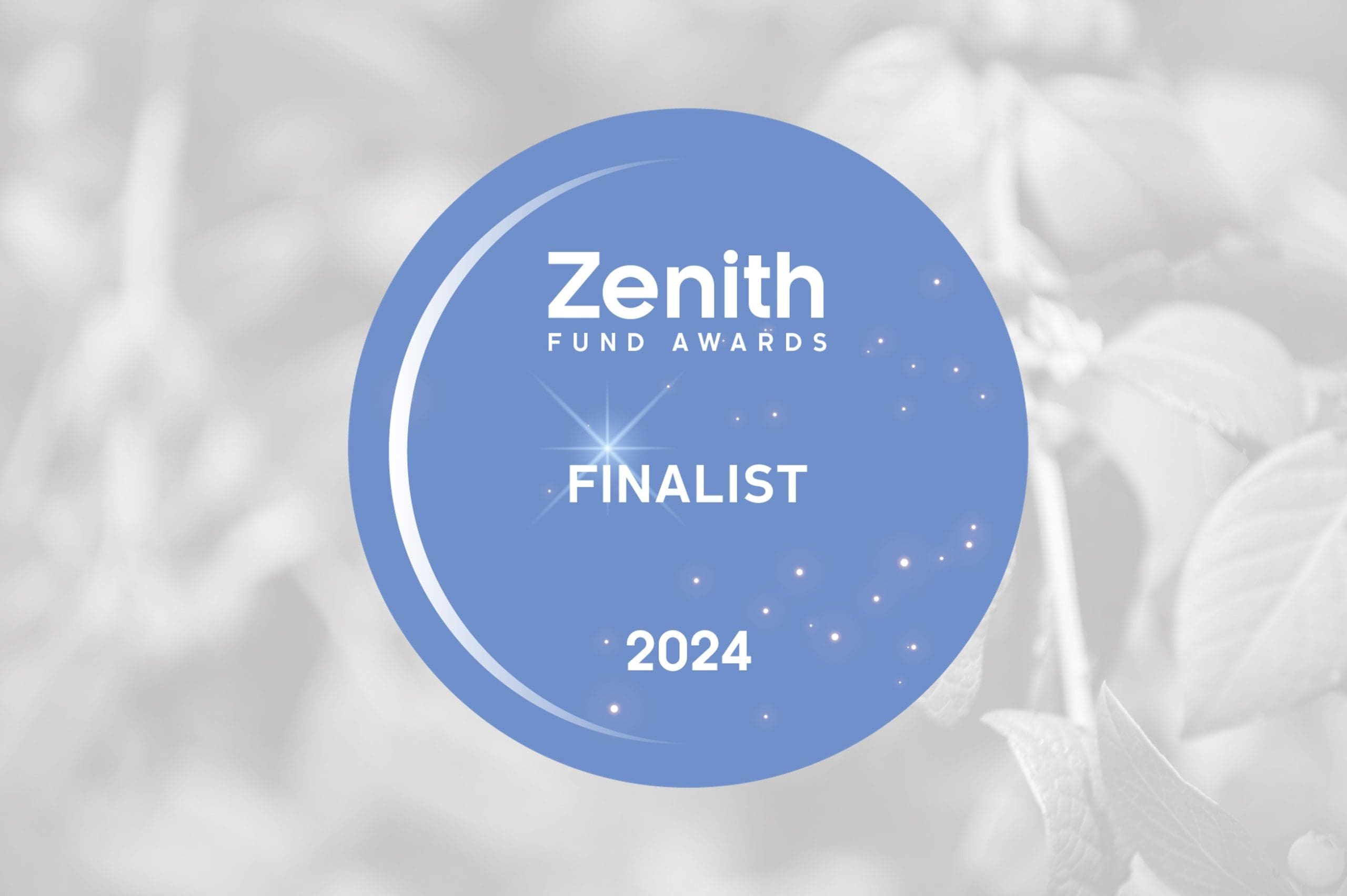 2024 Zenith Fund Awards - Finalist